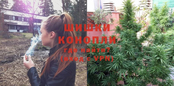 сатива Семикаракорск